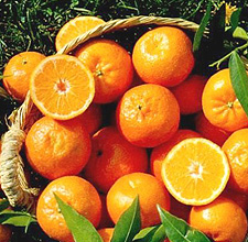 Volver al home | DLG Asesores y Productores de Seguros